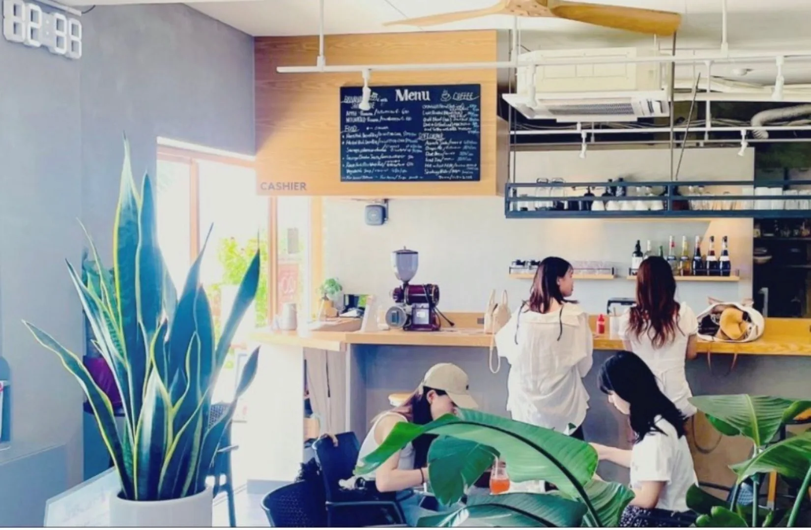 Journal — SEE THE SEA