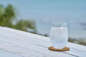 ボルス バレルエイジド ジェネバ (42%)