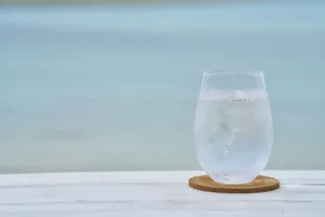 ナインチェ