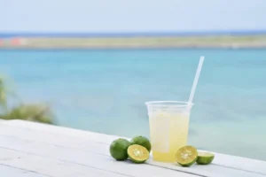 沖縄県産 シークヮーサージュース